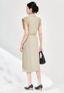 Elegant Sleeveless  Professional Look  Dress